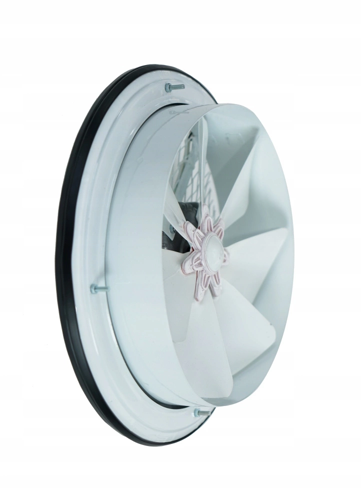 Wentylator Osiowy Ścienny Wyciągowy AYAS BTA 200 pol_pl_Wentylator-Osiowy-Scienny-Wyciagowy-AYAS-BTA-200-5201_2