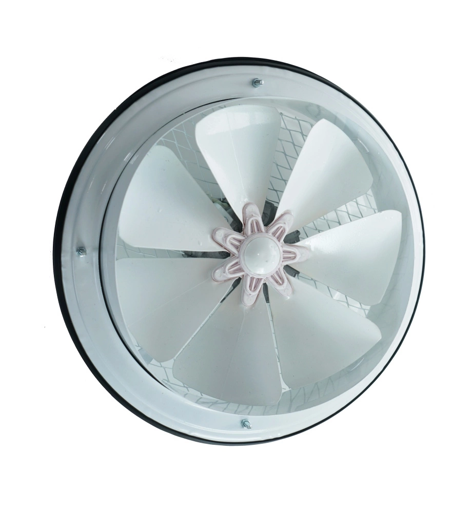 Wentylator Osiowy Ścienny Wyciągowy AYAS BTA 200 pol_pl_Wentylator-Osiowy-Scienny-Wyciagowy-AYAS-BTA-200-5201_1