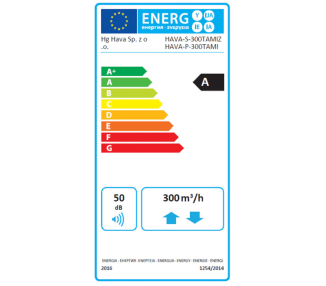 REKUPERATOR HG HAVA TEMIZ 300 P Z NAGRZEWNICĄ 1 KW NE-WS